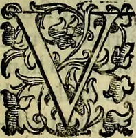 Picture 425 of 705 from Teatro d'imprese (1623), leaf 608