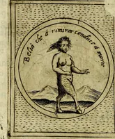 Picture 426 of 705 from Teatro d'imprese (1623), leaf 609