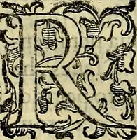 Picture 429 of 705 from Teatro d'imprese (1623), leaf 611