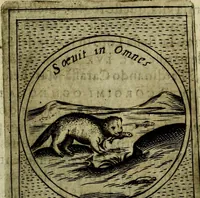 Picture 450 of 705 from Teatro d'imprese (1623), leaf 636