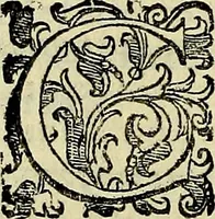 Picture 457 of 705 from Teatro d'imprese (1623), leaf 641