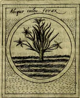 An illustration from Teatro d'imprese (1623)