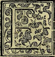 An illustration from Teatro d'imprese (1623)