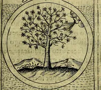 An illustration from Teatro d'imprese (1623)