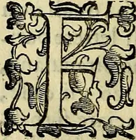 Picture 464 of 705 from Teatro d'imprese (1623), leaf 651