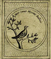Picture 481 of 705 from Teatro d'imprese (1623), leaf 667