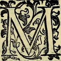 Picture 482 of 705 from Teatro d'imprese (1623), leaf 667