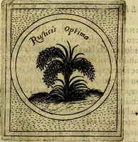 Picture 485 of 705 from Teatro d'imprese (1623), leaf 668
