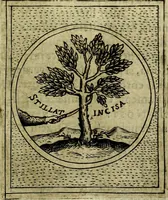 An illustration from Teatro d'imprese (1623)