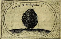 Picture 491 of 705 from Teatro d'imprese (1623), leaf 673