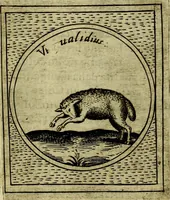 An illustration from Teatro d'imprese (1623)