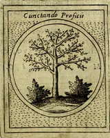 Picture 498 of 705 from Teatro d'imprese (1623), leaf 682
