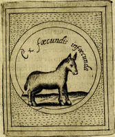 Picture 505 of 705 from Teatro d'imprese (1623), leaf 688