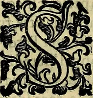 Picture 513 of 705 from Teatro d'imprese (1623), leaf 699