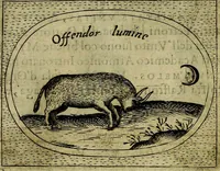 An illustration from Teatro d'imprese (1623)