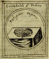 Picture 527 of 705 from Teatro d'imprese (1623), leaf 712