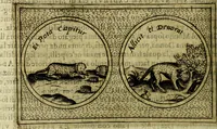 Picture 537 of 705 from Teatro d'imprese (1623), leaf 723