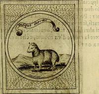 An illustration from Teatro d'imprese (1623)