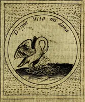 Picture 549 of 705 from Teatro d'imprese (1623), leaf 732