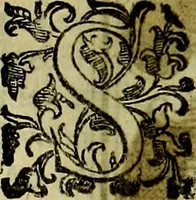 Picture 554 of 705 from Teatro d'imprese (1623), leaf 736