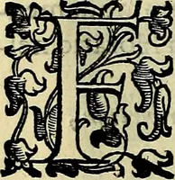 An illustration from Teatro d'imprese (1623)