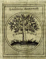 An illustration from Teatro d'imprese (1623)