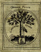 Picture 567 of 705 from Teatro d'imprese (1623), leaf 753