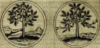 An illustration from Teatro d'imprese (1623)
