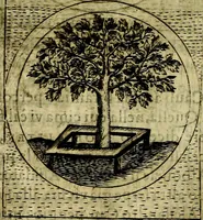 An illustration from Teatro d'imprese (1623)