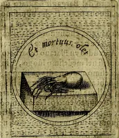Picture 577 of 705 from Teatro d'imprese (1623), leaf 763