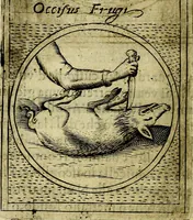 Picture 581 of 705 from Teatro d'imprese (1623), leaf 767