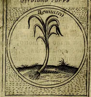 An illustration from Teatro d'imprese (1623)