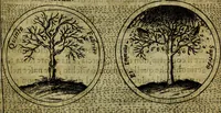 Picture 589 of 705 from Teatro d'imprese (1623), leaf 774