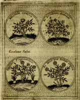 An illustration from Teatro d'imprese (1623)