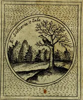An illustration from Teatro d'imprese (1623)