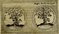 An illustration from Teatro d'imprese (1623)