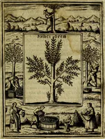 An illustration from Teatro d'imprese (1623)