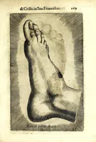 Picture 17 of 19 from Teatro serafico delle stimmate di Christo, impresse nel santo, immaculato, e virginal corpo del glorioso padre san Francesco (1629), leaf 293