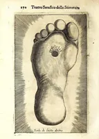 Picture 18 of 19 from Teatro serafico delle stimmate di Christo, impresse nel santo, immaculato, e virginal corpo del glorioso padre san Francesco (1629), leaf 294