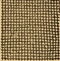 An illustration from A technical history of the manufacture of Venetian laces (Venice- Burano) / by G.M. Urbani de Gheltof ; translated by Lady Layard (1882)