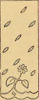 An illustration from A technical history of the manufacture of Venetian laces (Venice- Burano) / by G.M. Urbani de Gheltof ; translated by Lady Layard (1882)