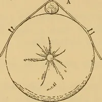 An illustration from A technical history of the manufacture of Venetian laces (Venice- Burano) / by G.M. Urbani de Gheltof ; translated by Lady Layard (1882)