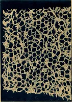 An illustration from A technical history of the manufacture of Venetian laces (Venice- Burano) / by G.M. Urbani de Gheltof ; translated by Lady Layard (1882)