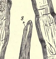 An illustration from The technical testing of yarns and textile fabrics (1920)