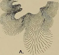 An illustration from The technic of mechanical drafting a practical guide to neat, correct, and legible drawing (1904)