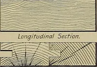 An illustration from The technic of mechanical drafting a practical guide to neat, correct, and legible drawing (1904)