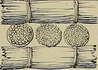 An illustration from The technic of mechanical drafting a practical guide to neat, correct, and legible drawing (1904)