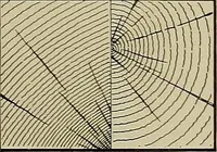 An illustration from The technic of mechanical drafting a practical guide to neat, correct, and legible drawing (1904)
