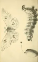 An illustration from The Technologist (1861)