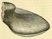 An illustration from The Technologist (1861)